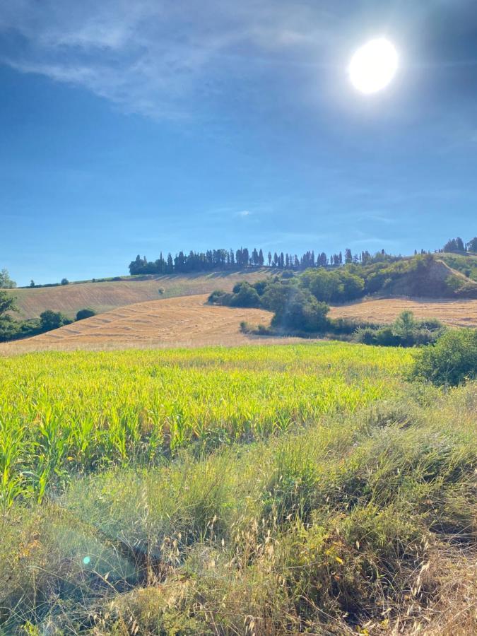Agriturismo I Moricci Peccioli Kültér fotó
