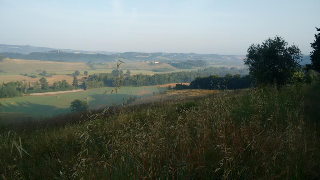 Agriturismo I Moricci Peccioli Kültér fotó