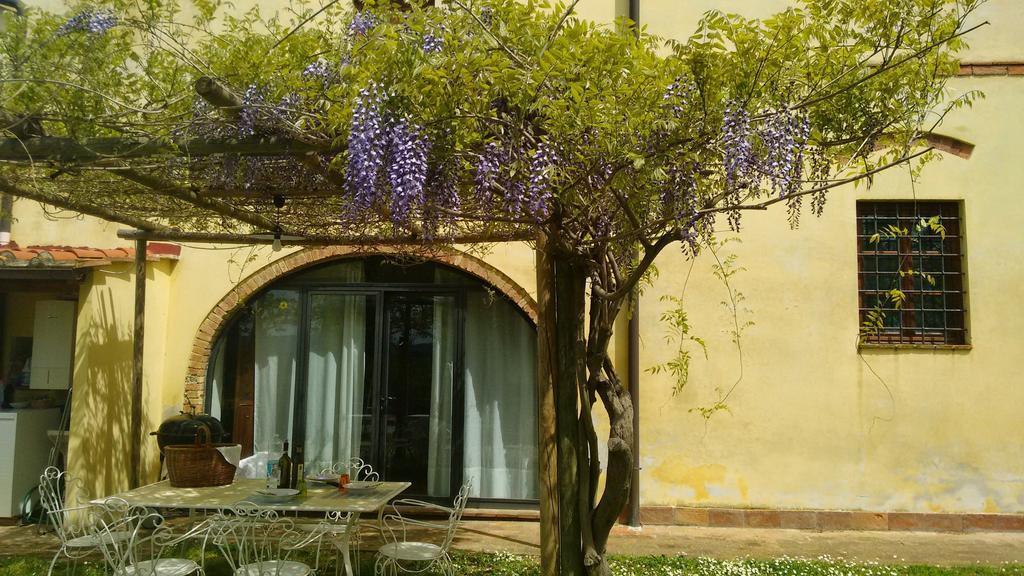 Agriturismo I Moricci Peccioli Kültér fotó