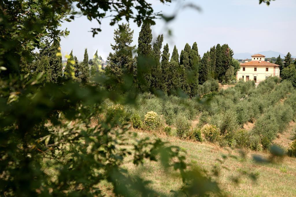 Agriturismo I Moricci Peccioli Kültér fotó