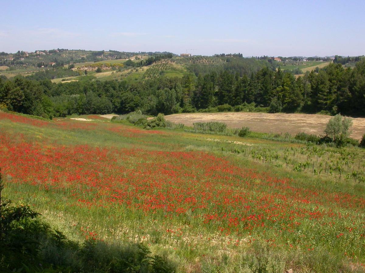 Agriturismo I Moricci Peccioli Kültér fotó